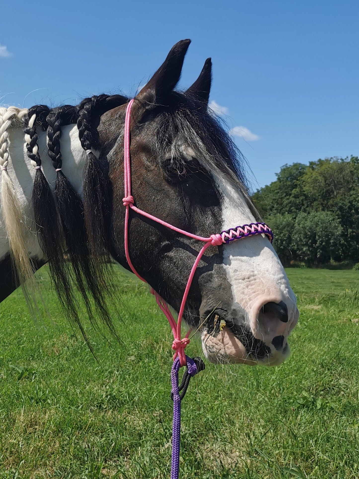 Quick Knot Lead Rope - 3,5m