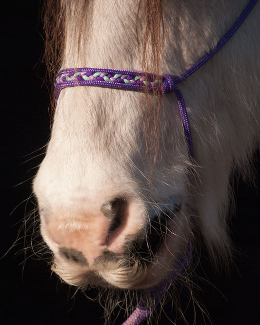 Braid Inlay Rope Halter