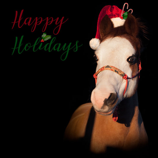 Christmas - rope halter - PONY