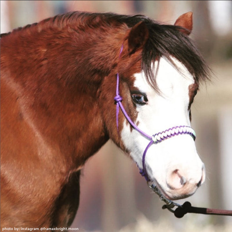 Knotless Cobra Braid Rope Halter