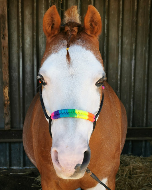 Knotless sliding ring rope halter - PONY (prototype)