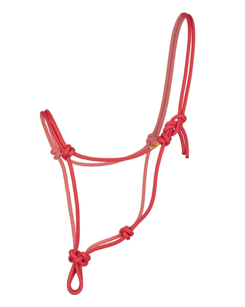 rope halter in the colour poppy on a white background