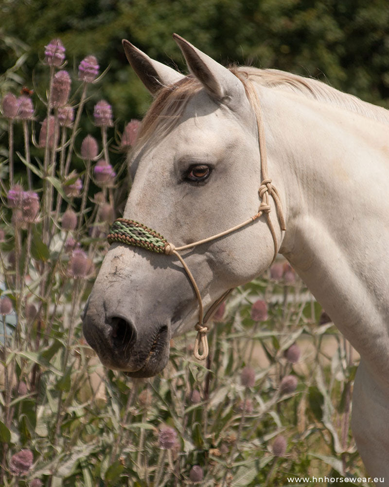 Aztec Diamond EARTH Rope Halter - COB