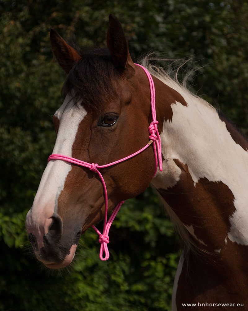 basic rope halter neon thulite full