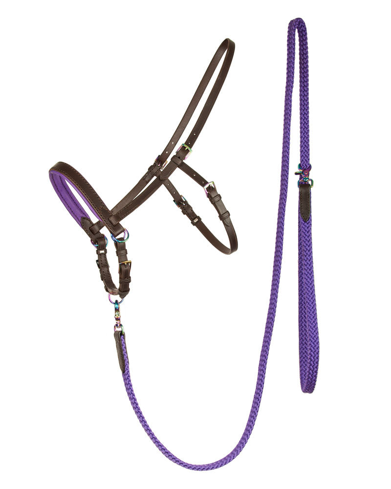 Sidepull Lodewijk - Brown/Purple - Cob