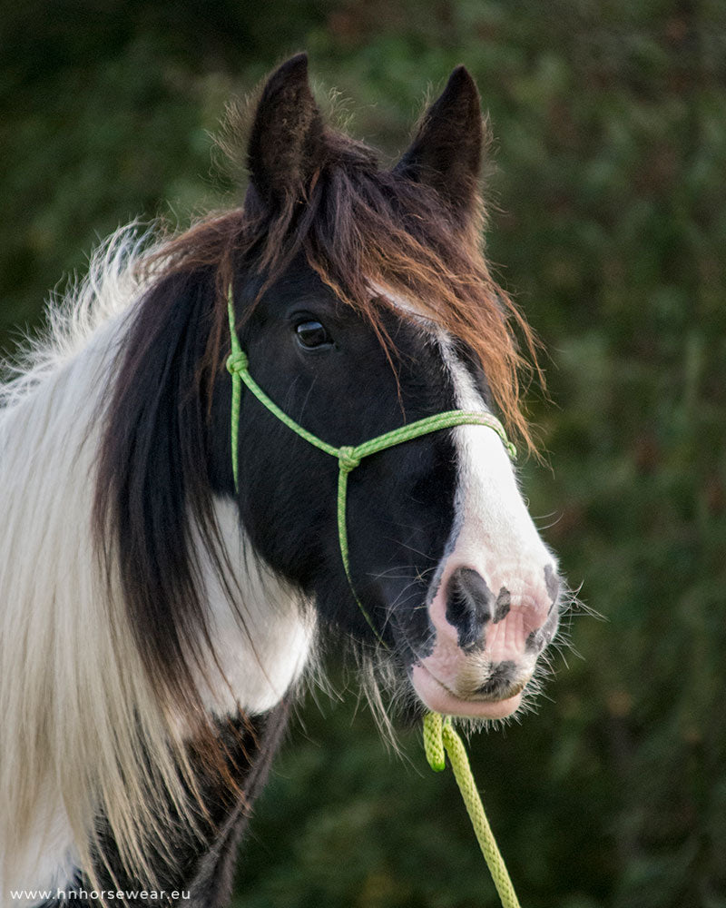 Green Rope Halter Set - Pony/Cob