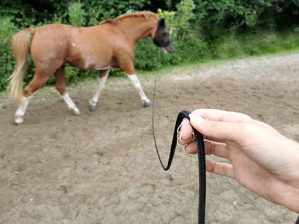 Basic Light Line Lead Rope