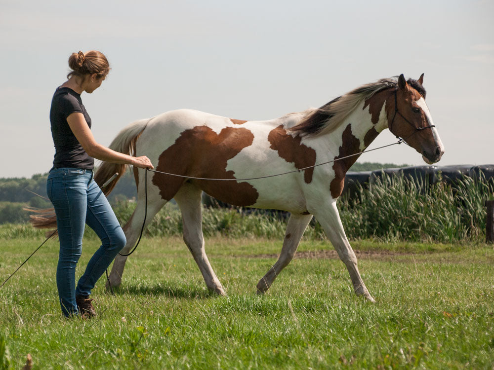 Basic Light Line Lead Rope