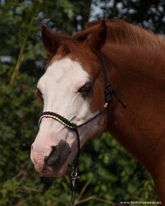 soft nebula rope halter set pony