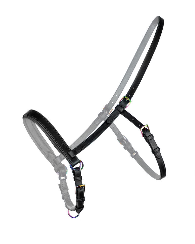 Black leather sidepull with rainbow chrome hardware