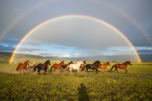 The Power and Symbolism Behind Colours