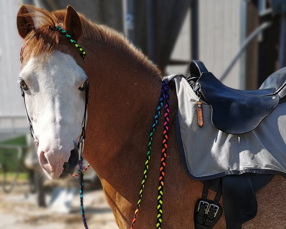 Tip Tuesday - Saddle ID-Tag