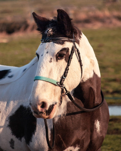 Caranthir - knotted leather browband