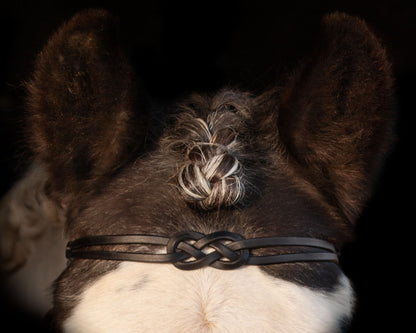 Caranthir - knotted leather browband