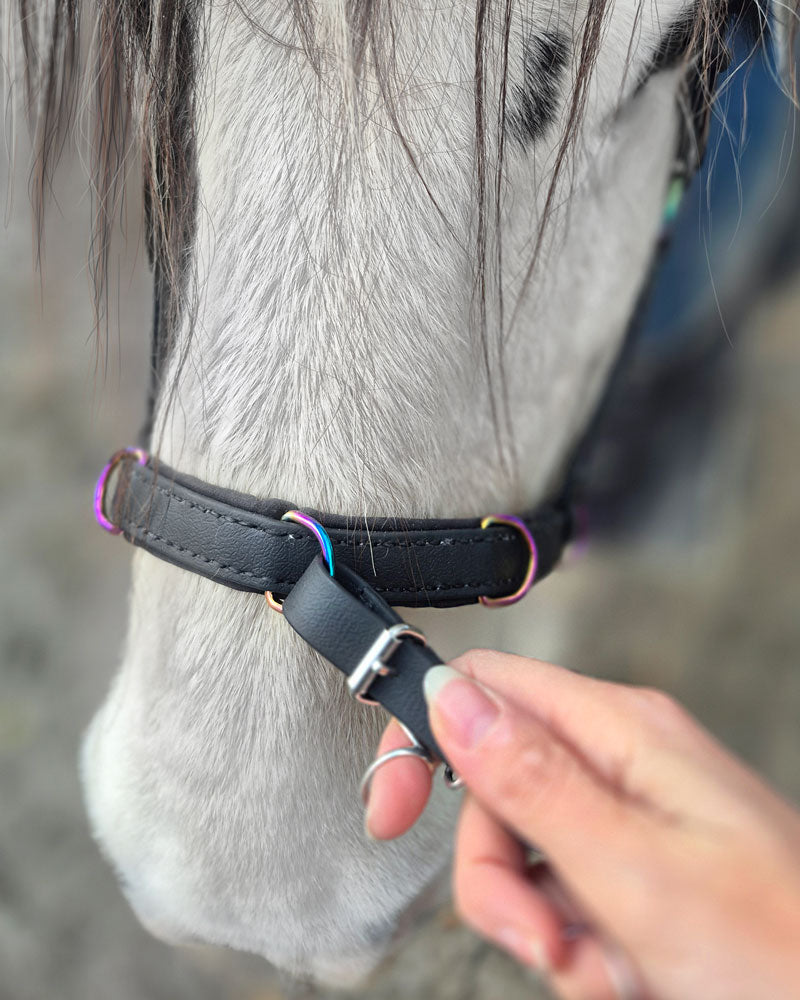 In Hand Line - Aquamarine - 3,12m