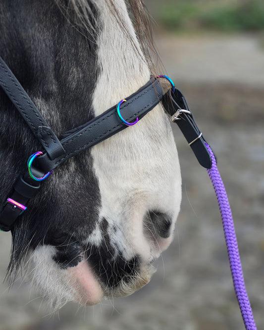 In Hand Line - Pale Gold - 2,13m