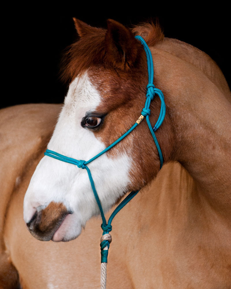 basic rope halter saronite pony