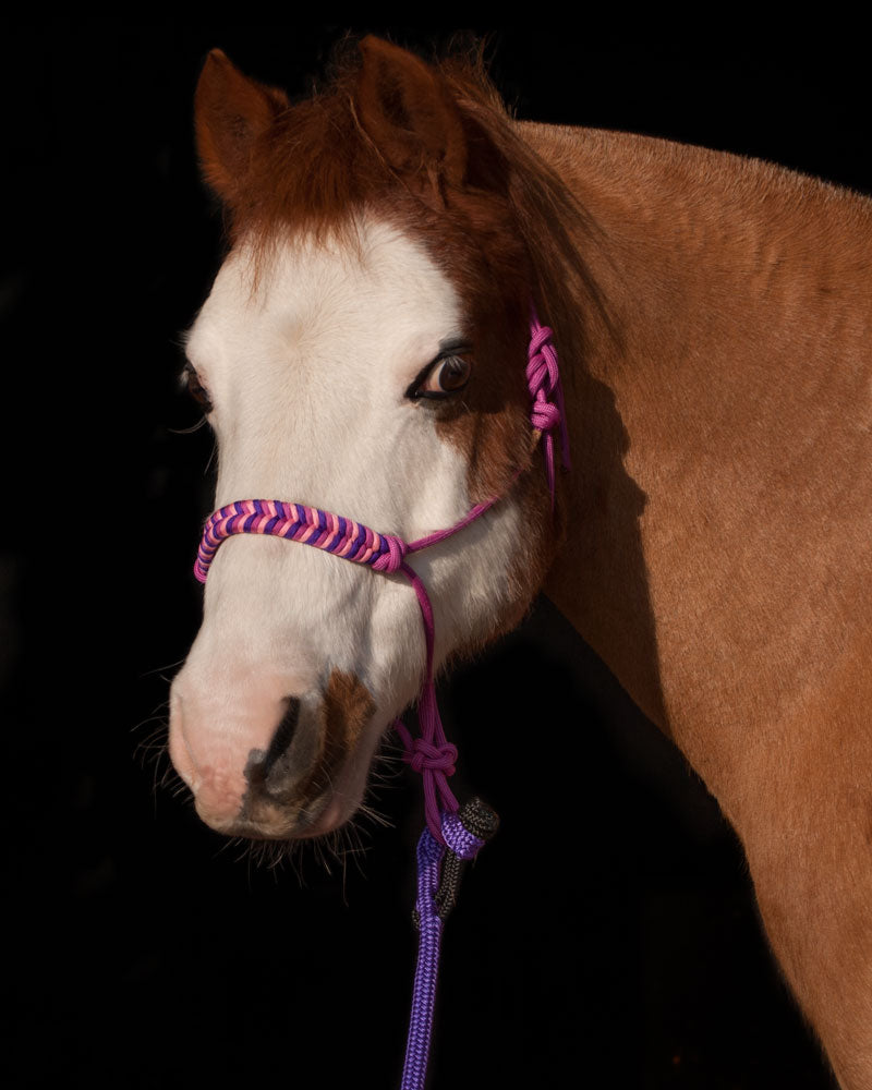 Chevron Braid Rope Halter