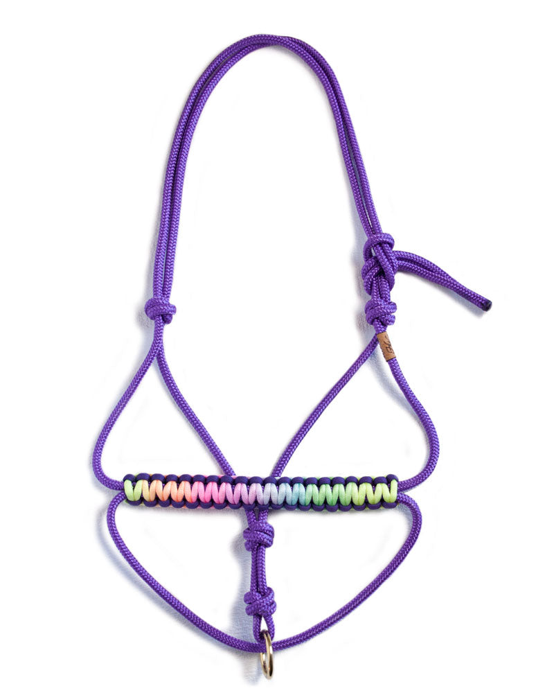 Knotless sliding ring rope halter with Deep Purple/Pastel rainbow noseband and brass ring