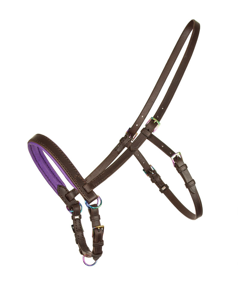 Brown leather sidepull with rainbow chrome hardware and purple padding