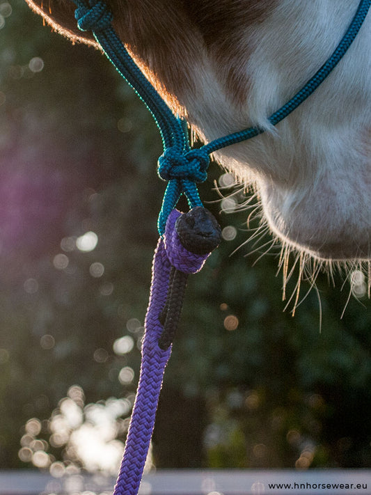 Quick Knot Lead Rope - Mix&Match