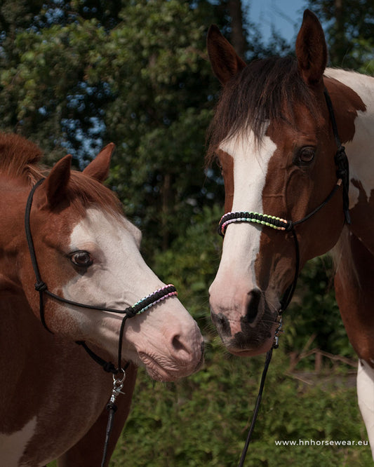 Soft Nebula rope halter set  pony and full